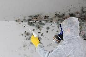 Mold Remediation for Rental Properties in Eufaula, AL